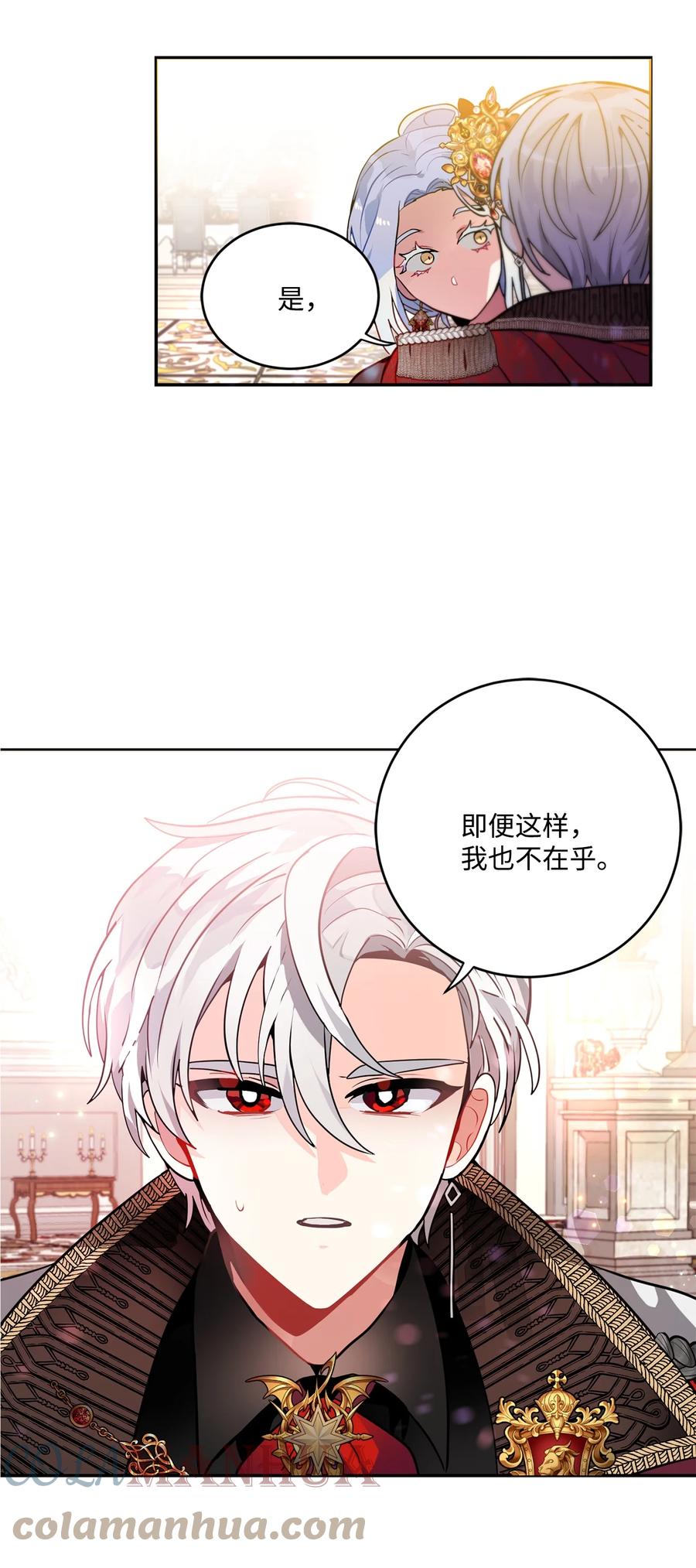 《未婚夫每天都想暗杀我》37 利贝勒被抓 第46页