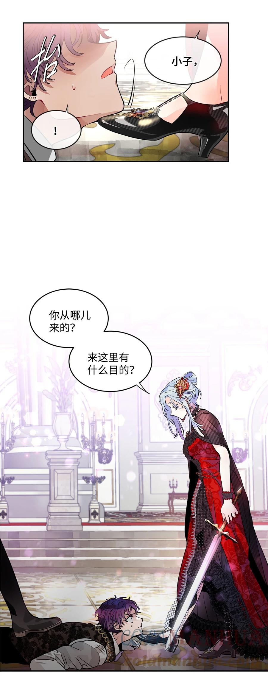 《未婚夫每天都想暗杀我》37 利贝勒被抓 第25页