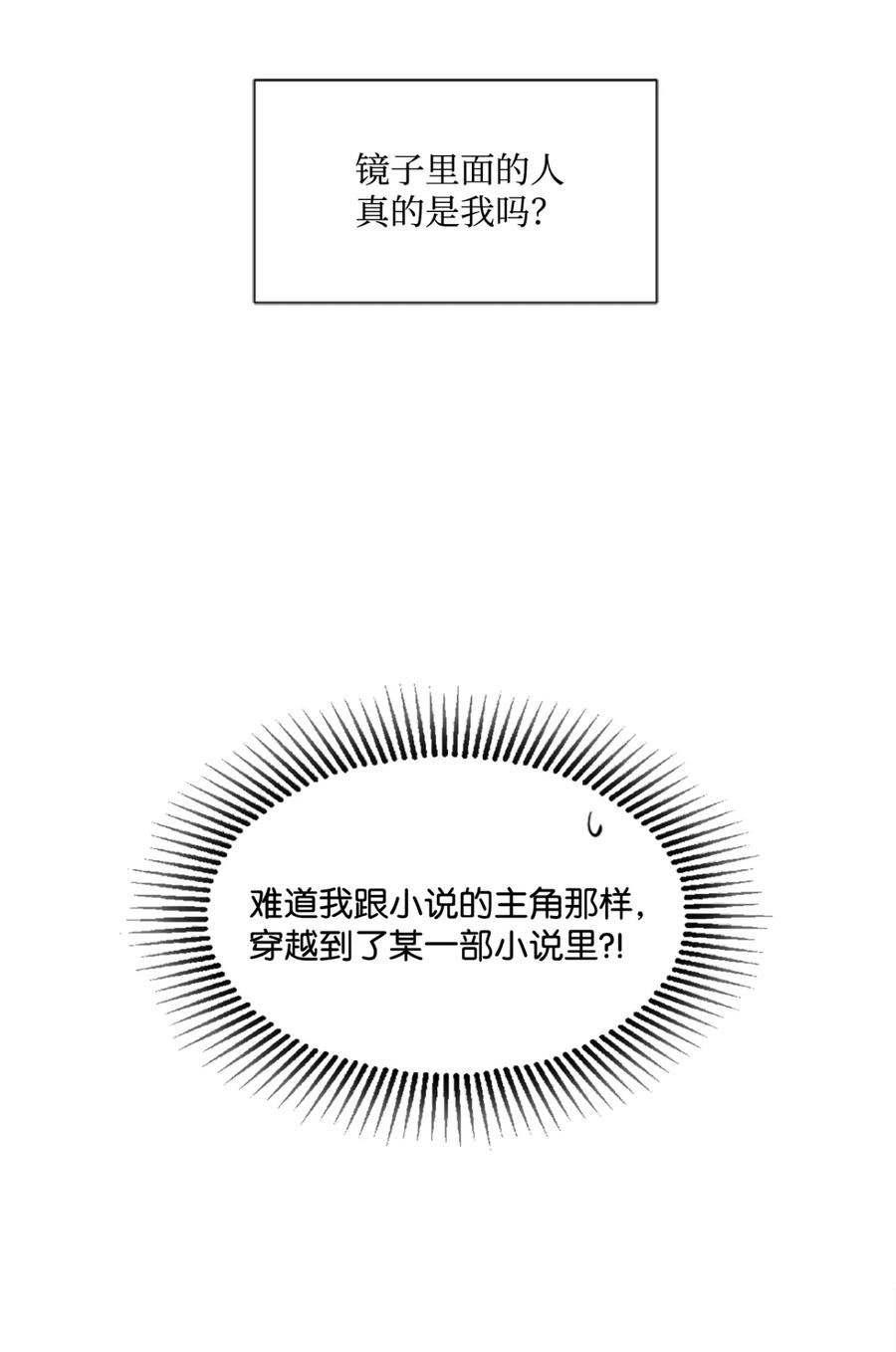 《未婚夫每天都想暗杀我》2 尝试各种方法 第29页
