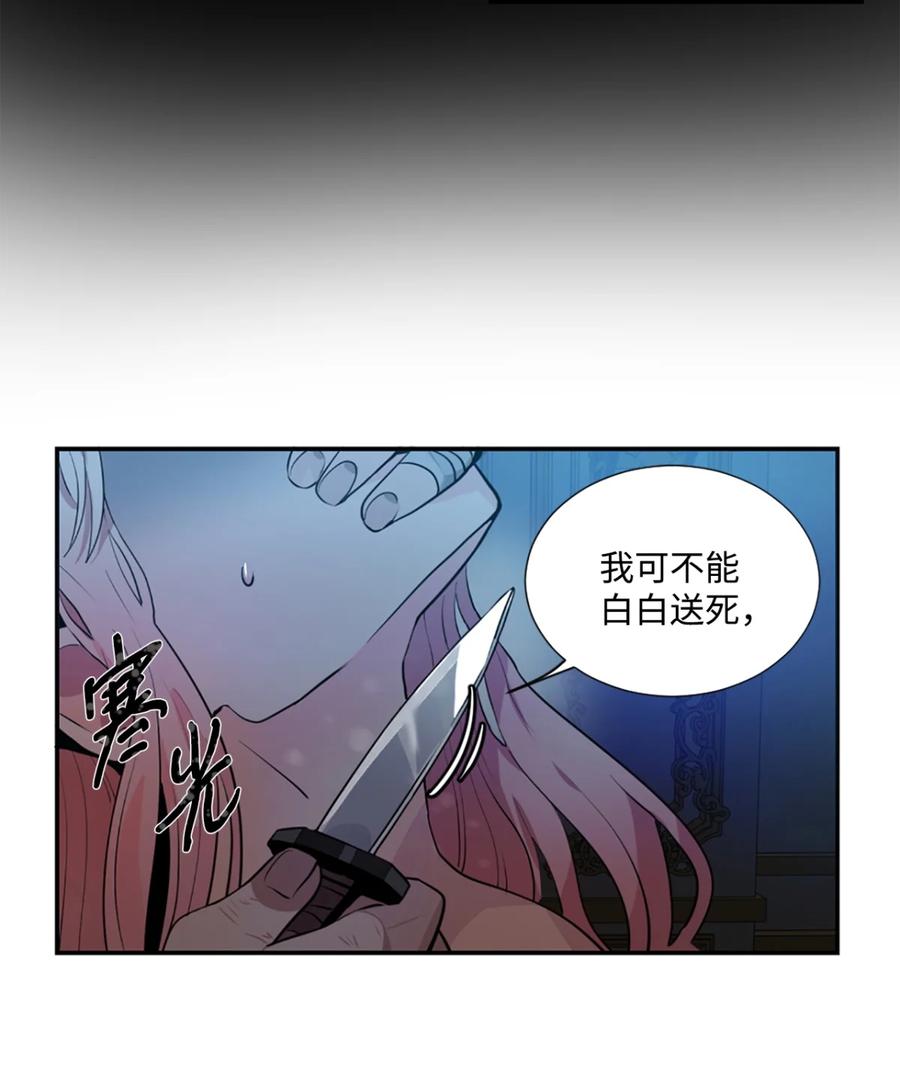 《未婚夫每天都想暗杀我》3 杀人未遂罪 第3页