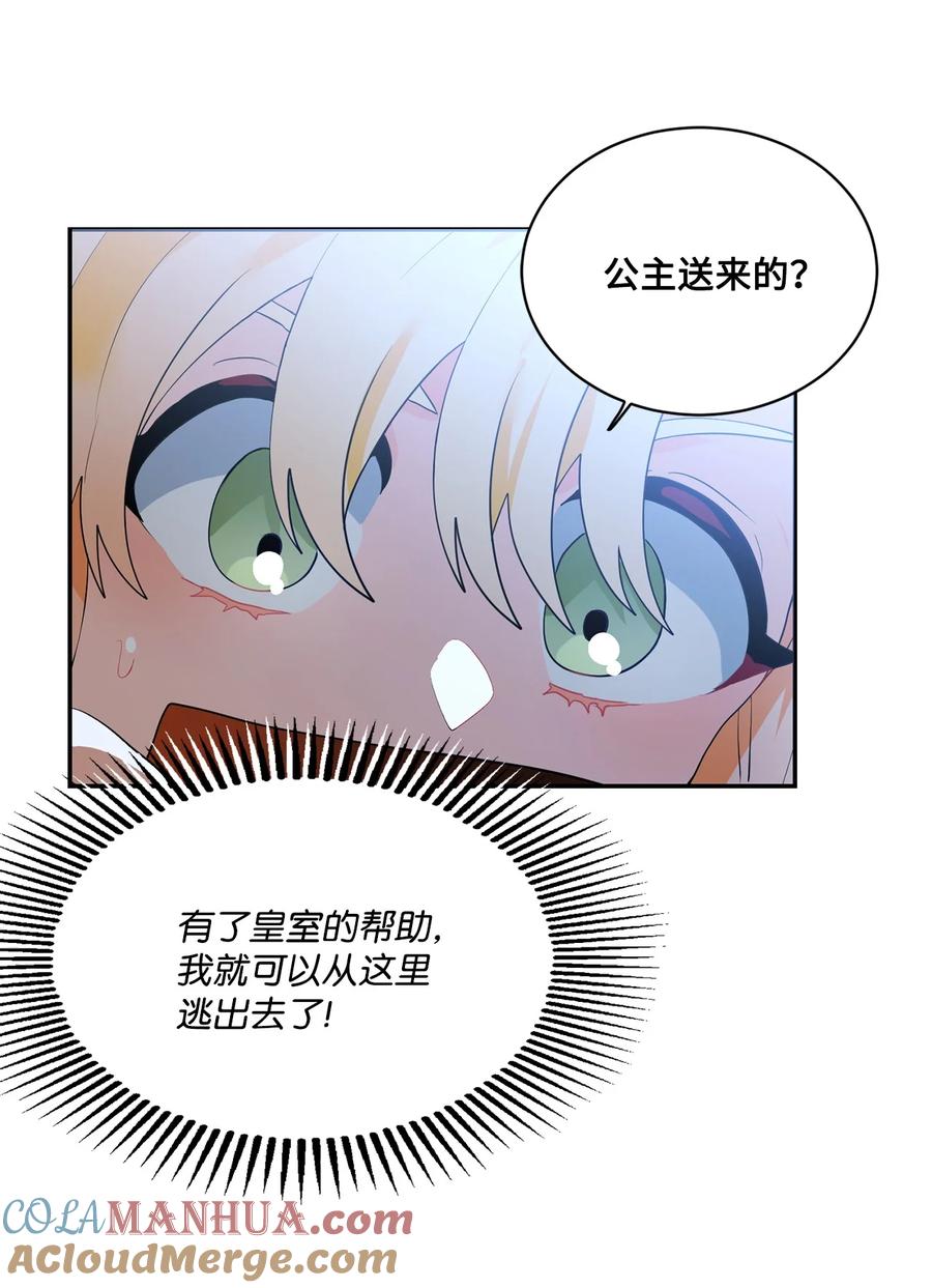 《未婚夫每天都想暗杀我》70 破裂的交易 第4页