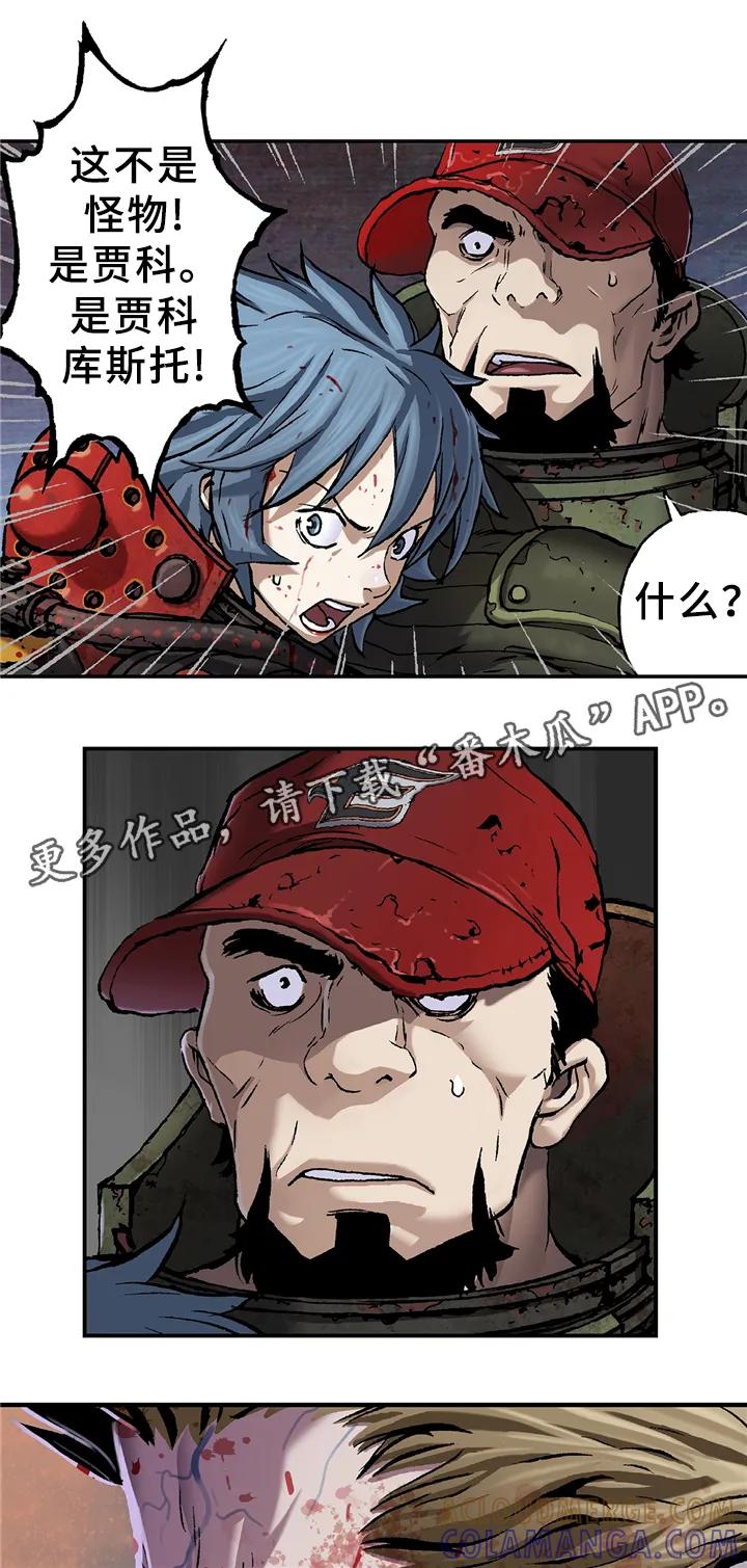 6.jpg