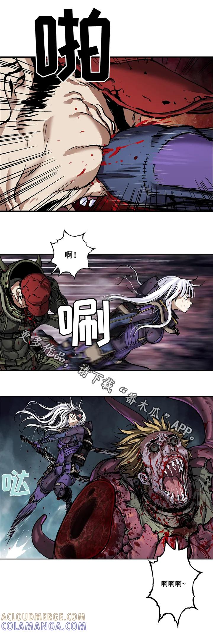 5.jpg