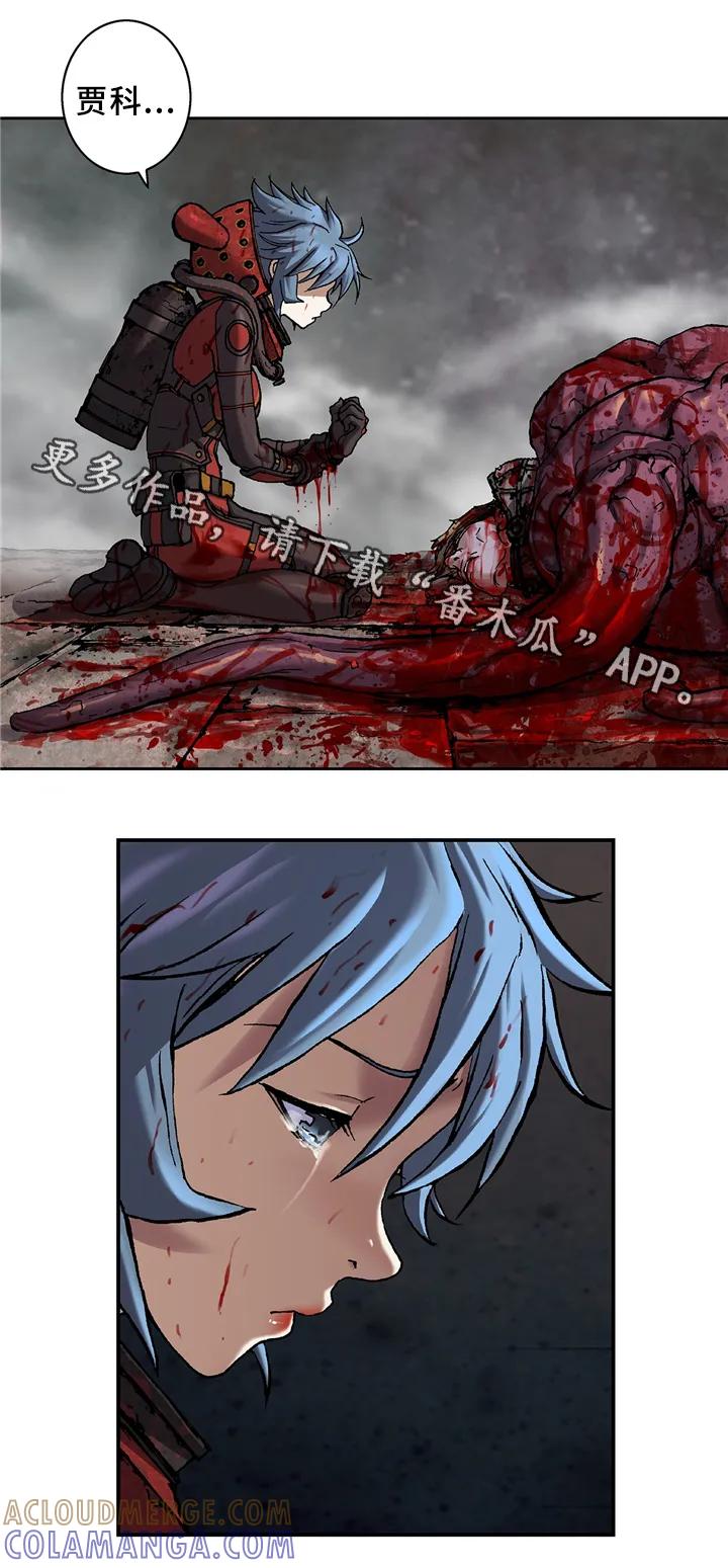 6.jpg
