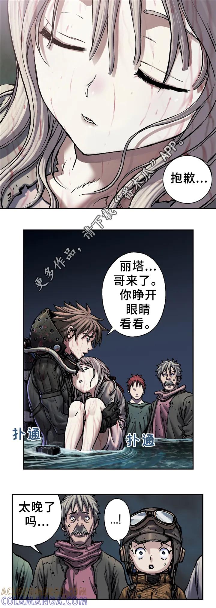 5.jpg