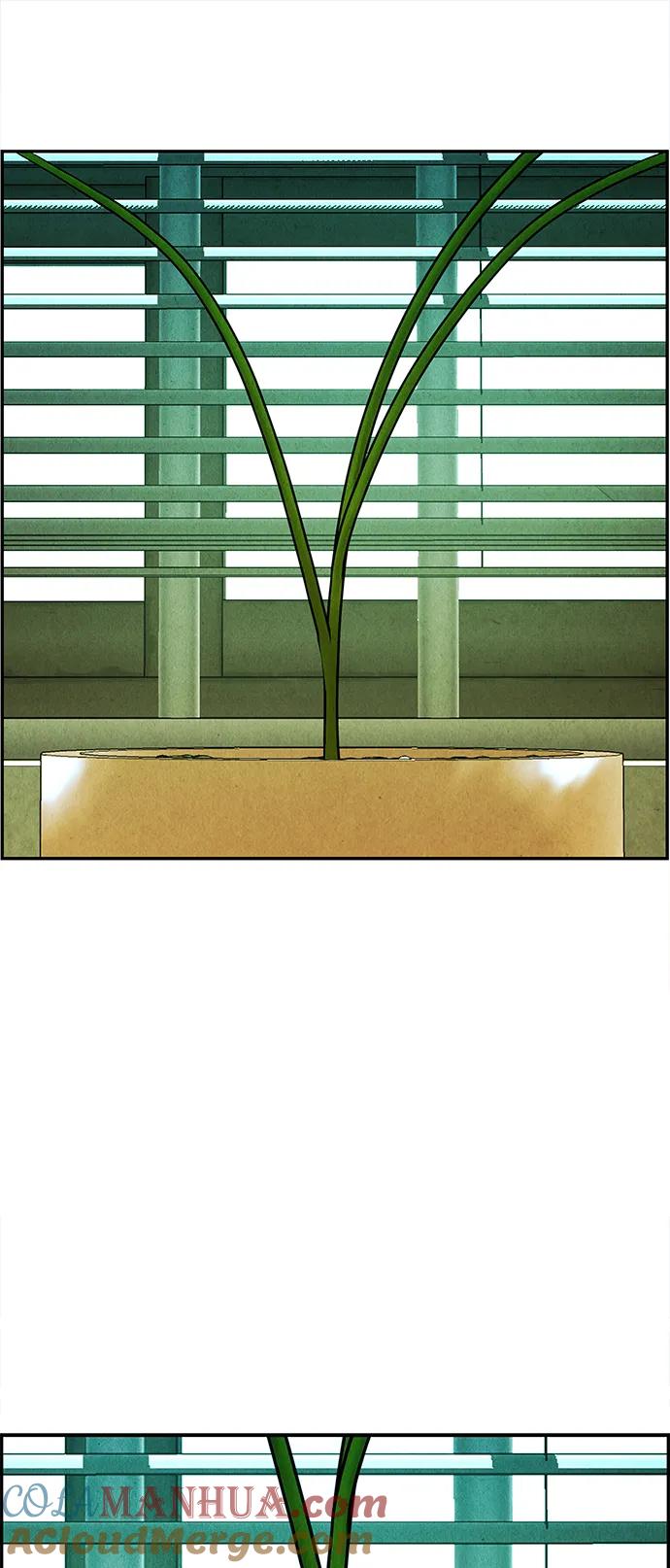 《未来的古董店》[第127话] 天门（6） 第37页