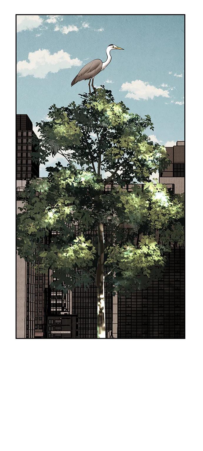 《未来的古董店》[第175] 从海末岛来的客人（10） 第11页