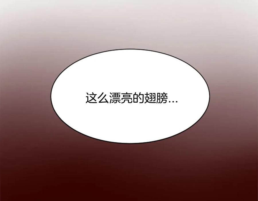《凤凰血》第23话 福祸相依 第160页