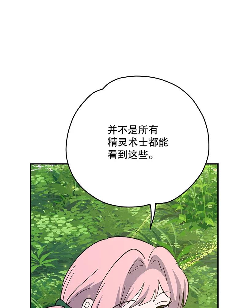 《伊格列特》131.契约者和精灵 第51页