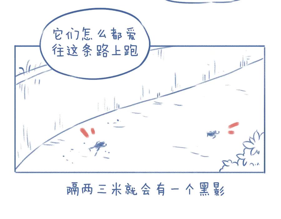 《未来总会有惊喜》11蛙（2） 第2页