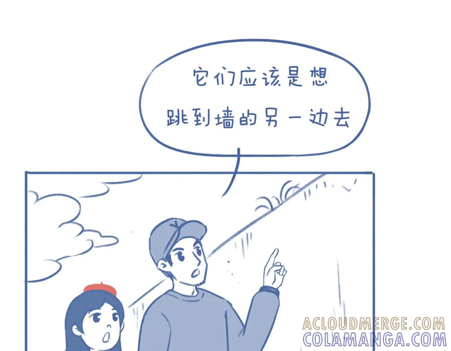 《未来总会有惊喜》11蛙（2） 第3页