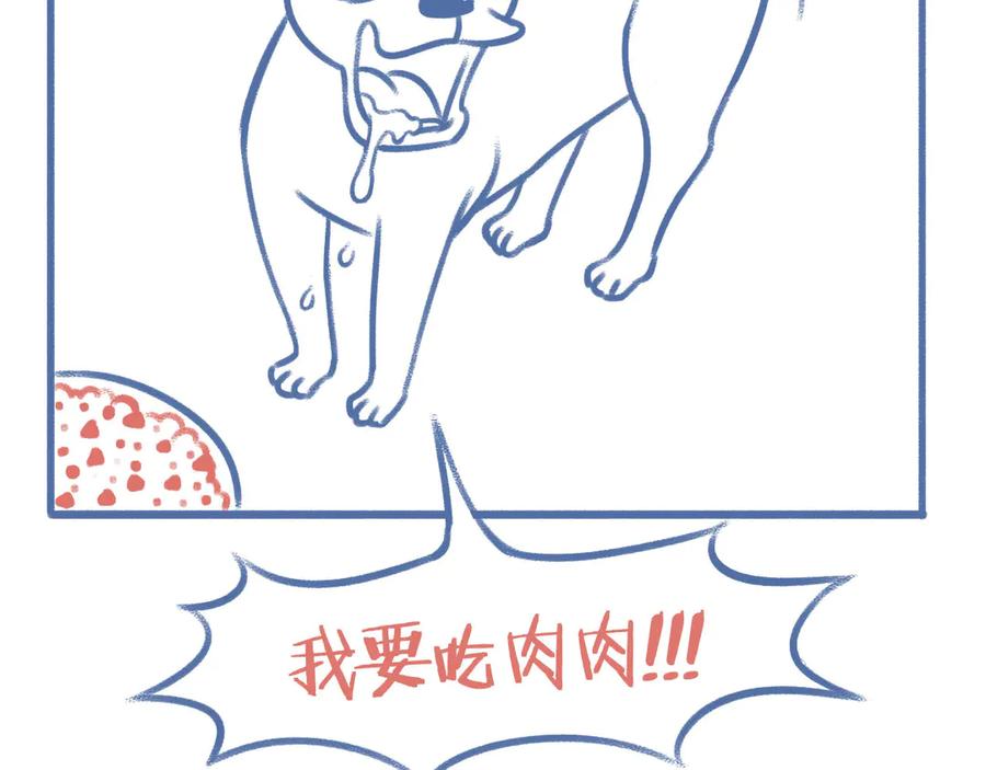 《未来总会有惊喜》12狗粮 第14页