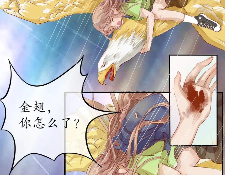 《时之舞》云洞 第11页