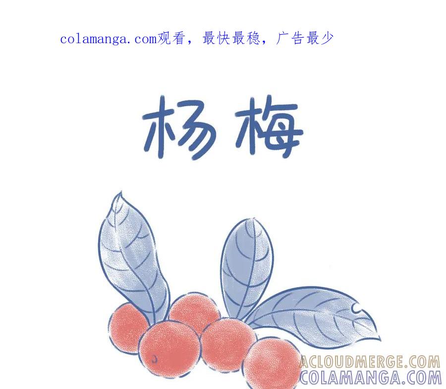 《未来总会有惊喜》17杨梅 第1页