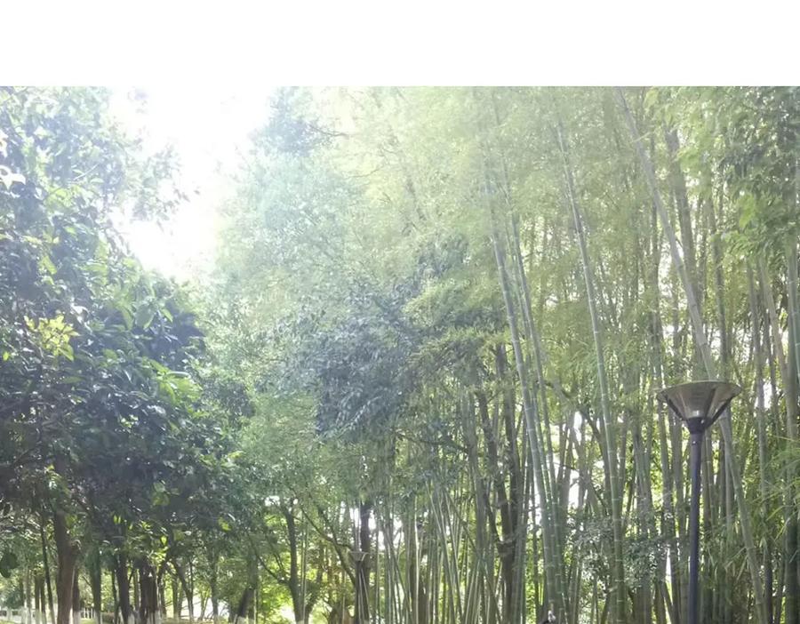 《未来总会有惊喜》18学车记 第59页