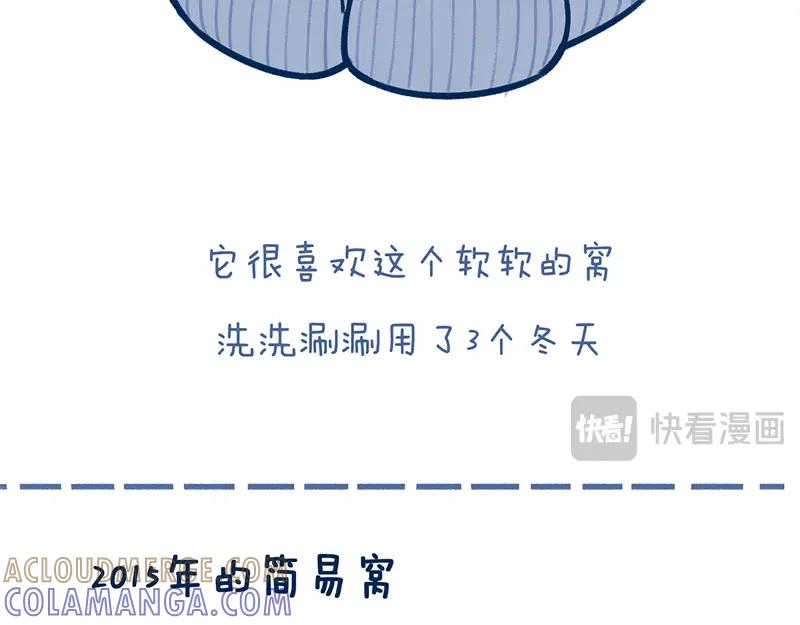 《未来总会有惊喜》19喵窝 第11页