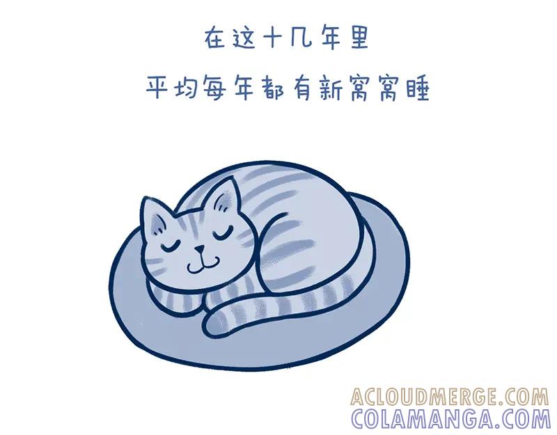 《未来总会有惊喜》19喵窝 第3页