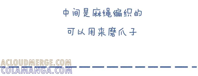 《未来总会有惊喜》19喵窝 第9页