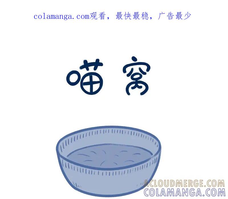 《未来总会有惊喜》19喵窝 第1页