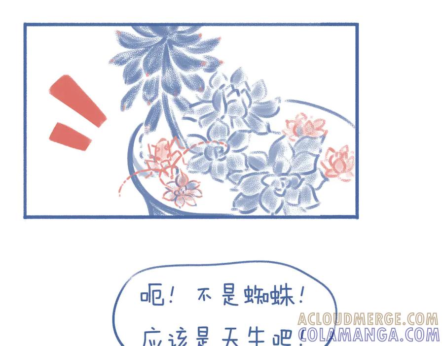 《未来总会有惊喜》02枯叶 第13页
