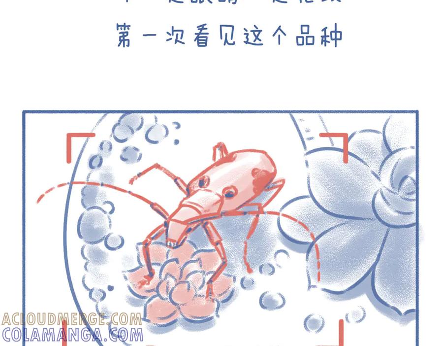 《未来总会有惊喜》02枯叶 第15页