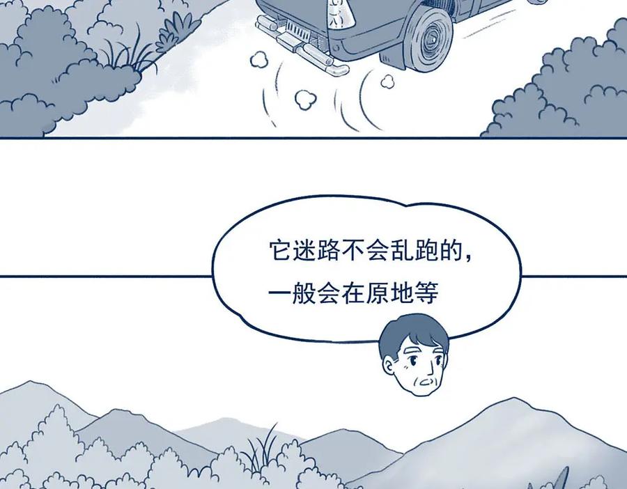 《未来总会有惊喜》21赶山 第35页