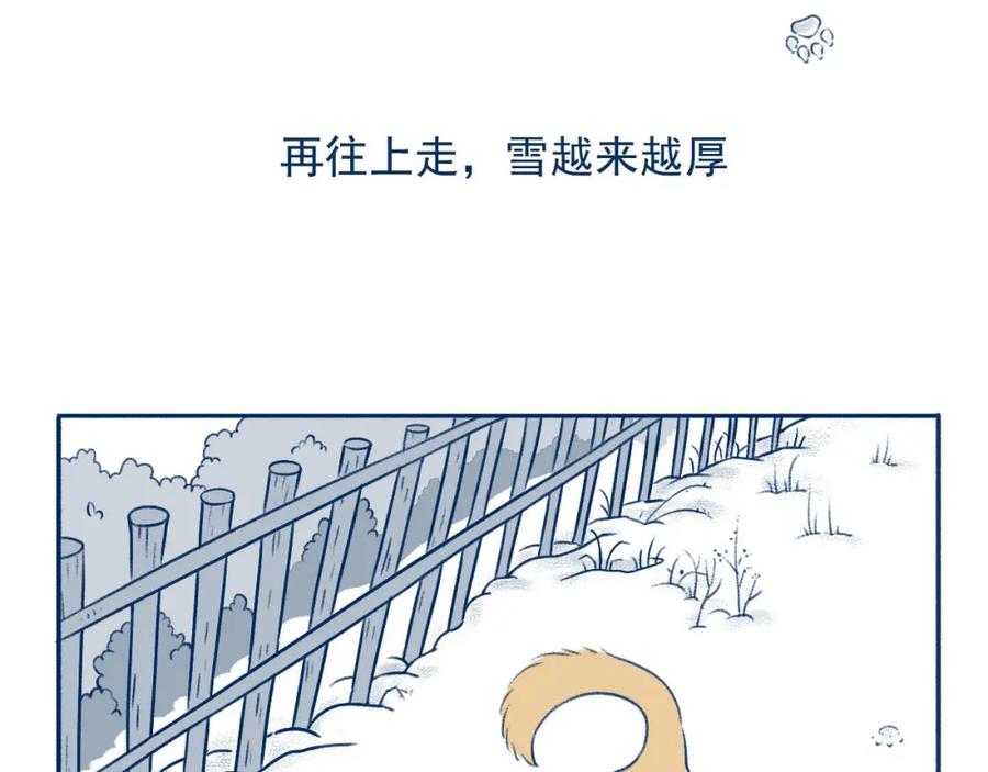 《未来总会有惊喜》21赶山 第62页