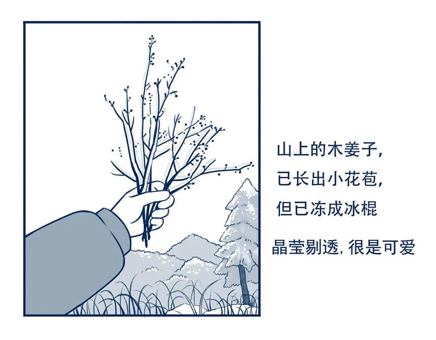《未来总会有惊喜》21赶山 第74页