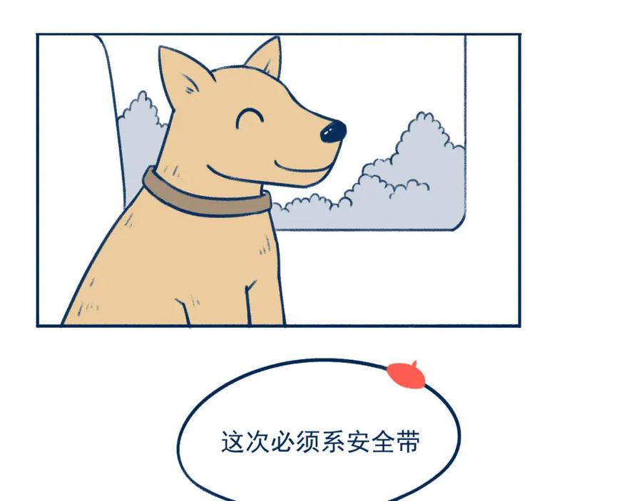 《未来总会有惊喜》21赶山 第47页