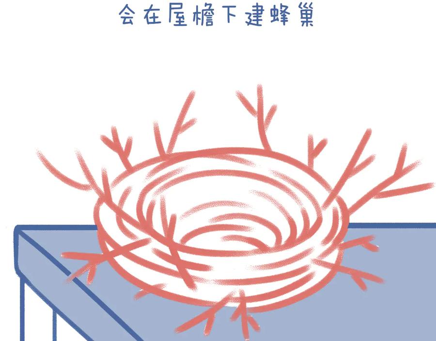 《未来总会有惊喜》03 窝 第6页