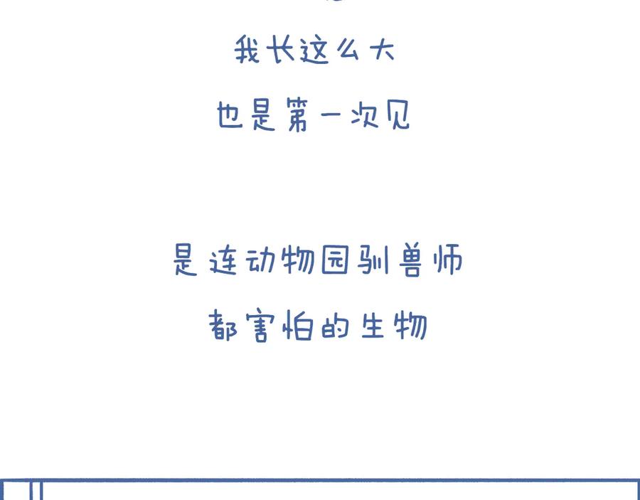 《未来总会有惊喜》03 窝 第11页