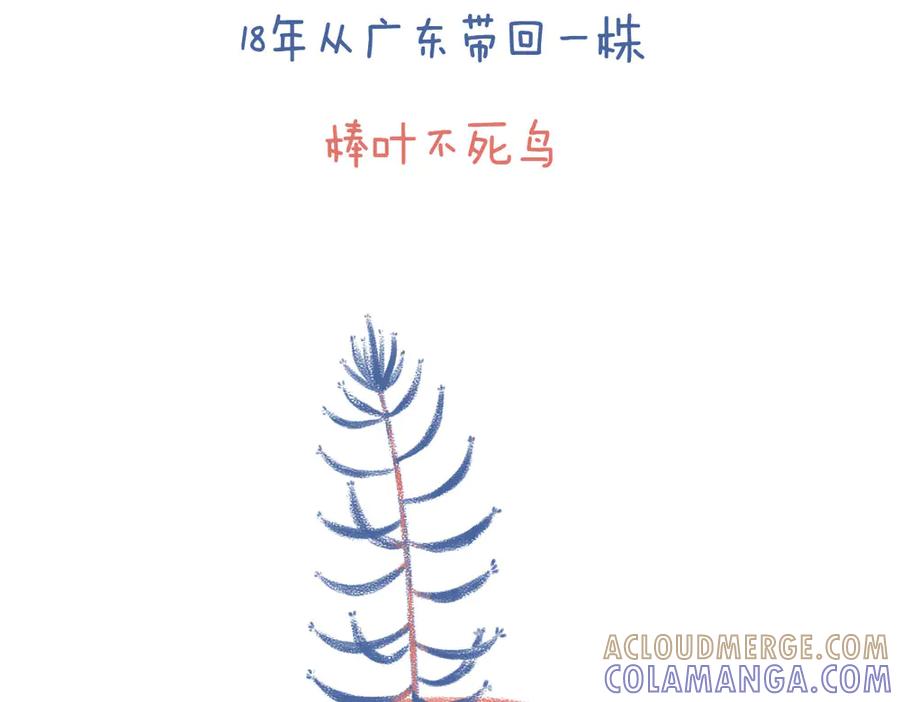 《未来总会有惊喜》04不死鸟 第3页