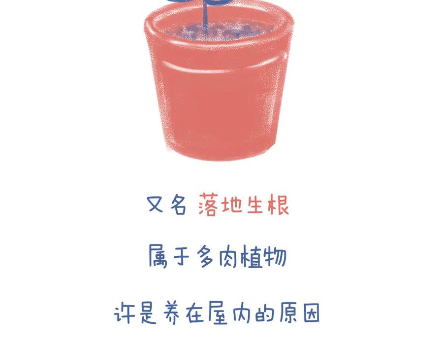《未来总会有惊喜》04不死鸟 第4页