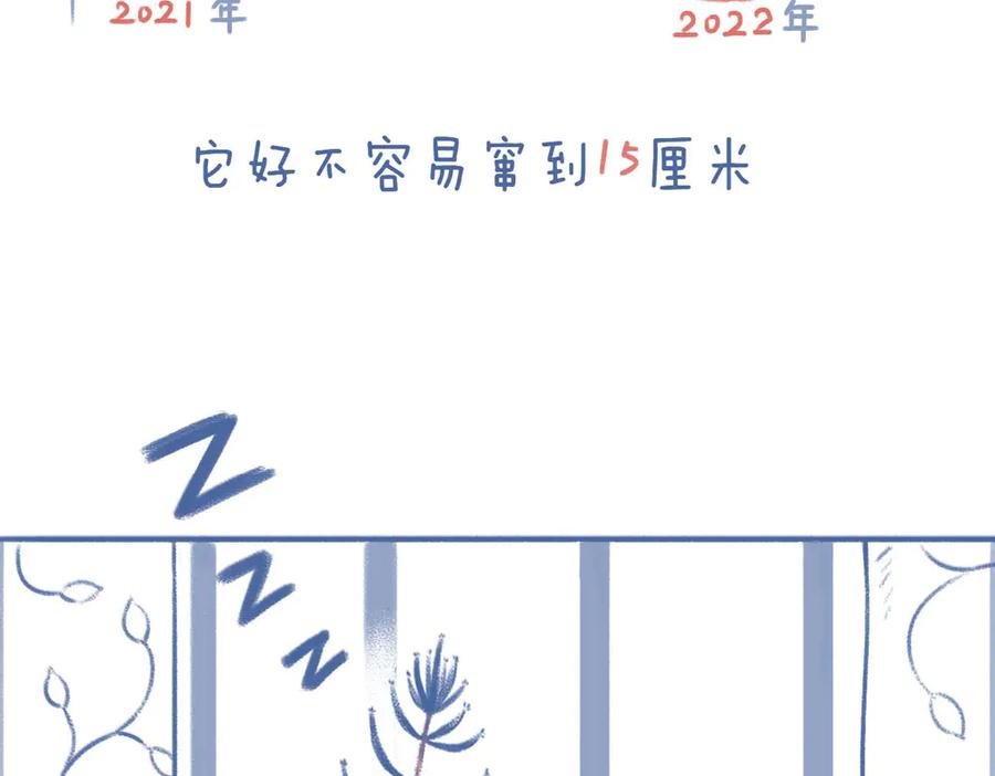 《未来总会有惊喜》04不死鸟 第14页