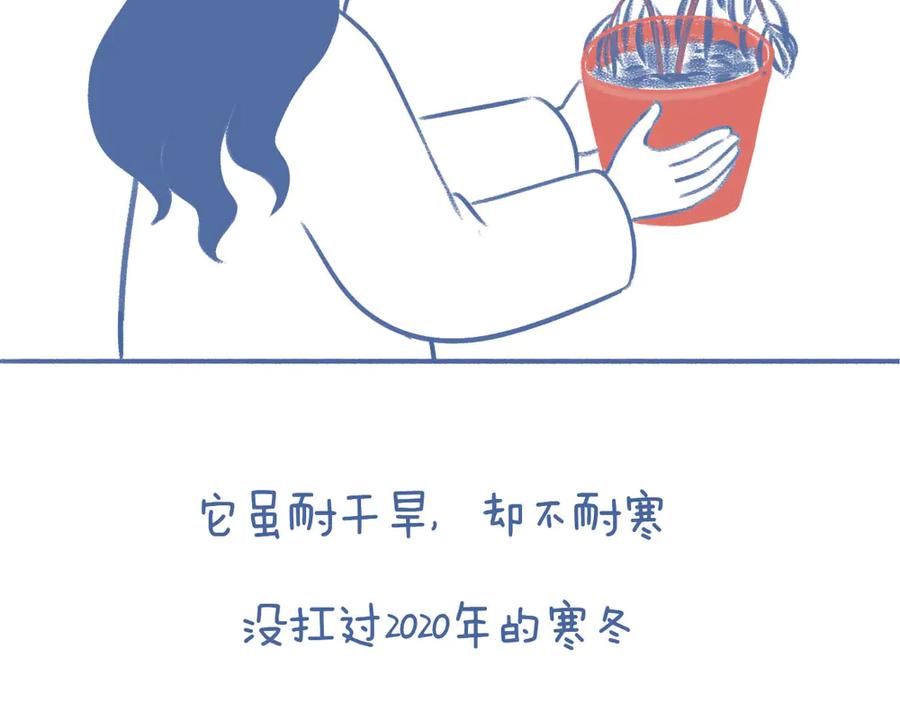 《未来总会有惊喜》04不死鸟 第8页