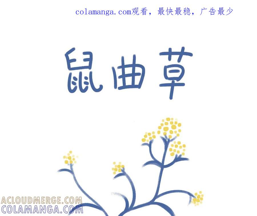 《未来总会有惊喜》05鼠曲草 第1页