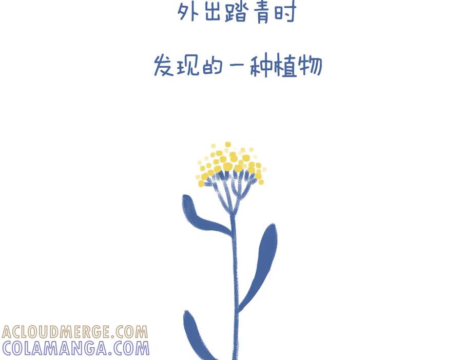 《未来总会有惊喜》05鼠曲草 第3页