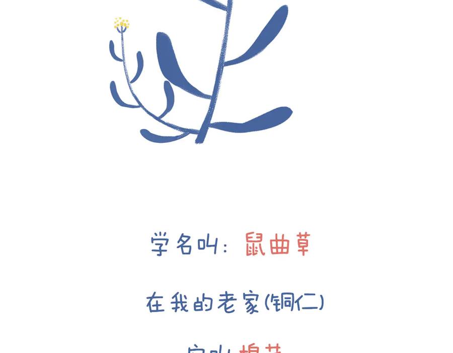 《未来总会有惊喜》05鼠曲草 第4页