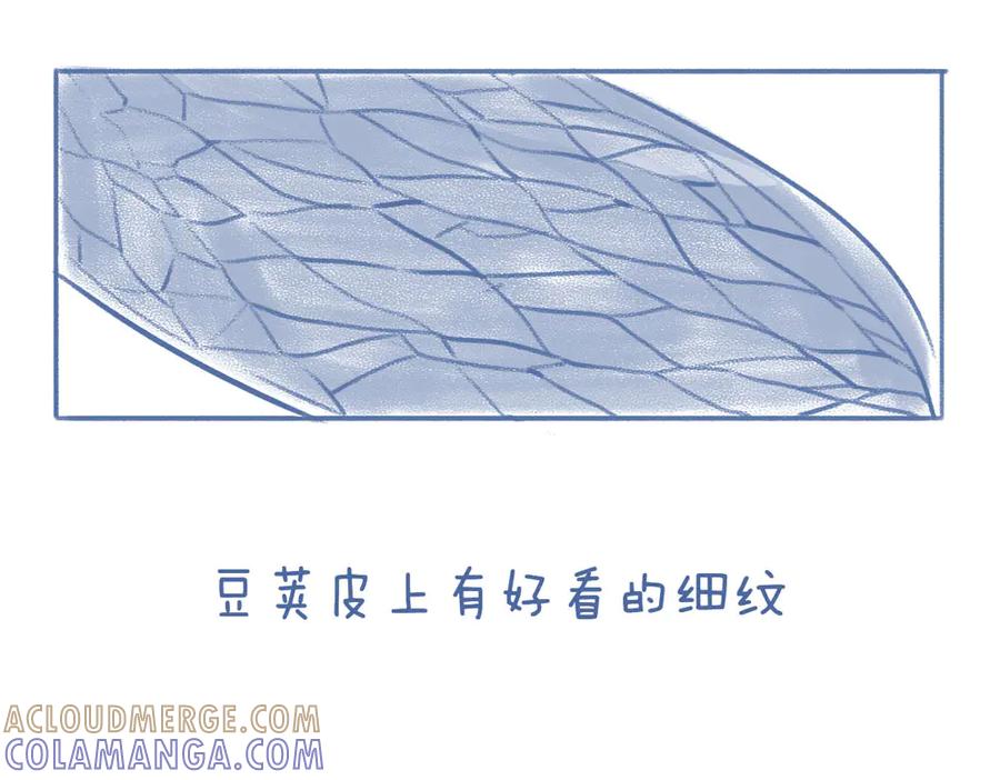 《未来总会有惊喜》06豌 豆 第13页
