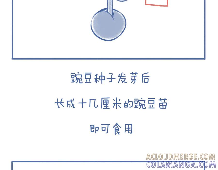 《未来总会有惊喜》06豌 豆 第3页