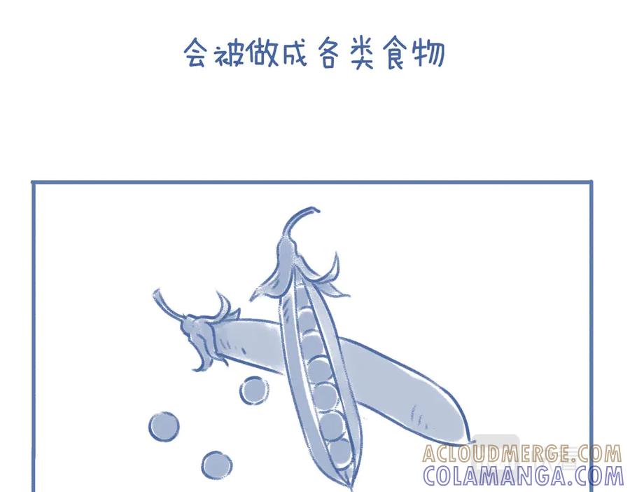 《未来总会有惊喜》06豌 豆 第7页