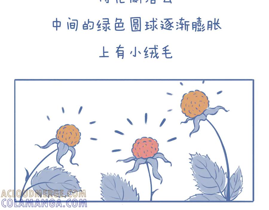 《未来总会有惊喜》07刺梅 第7页