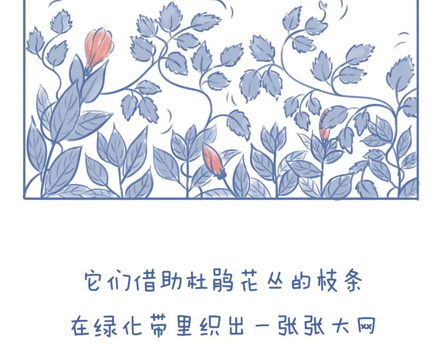 《未来总会有惊喜》07刺梅 第4页