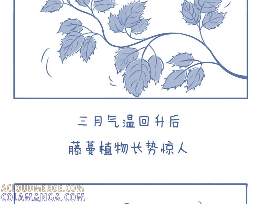 《未来总会有惊喜》07刺梅 第3页