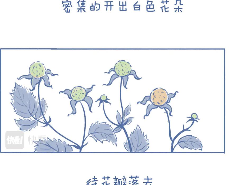 《未来总会有惊喜》07刺梅 第6页