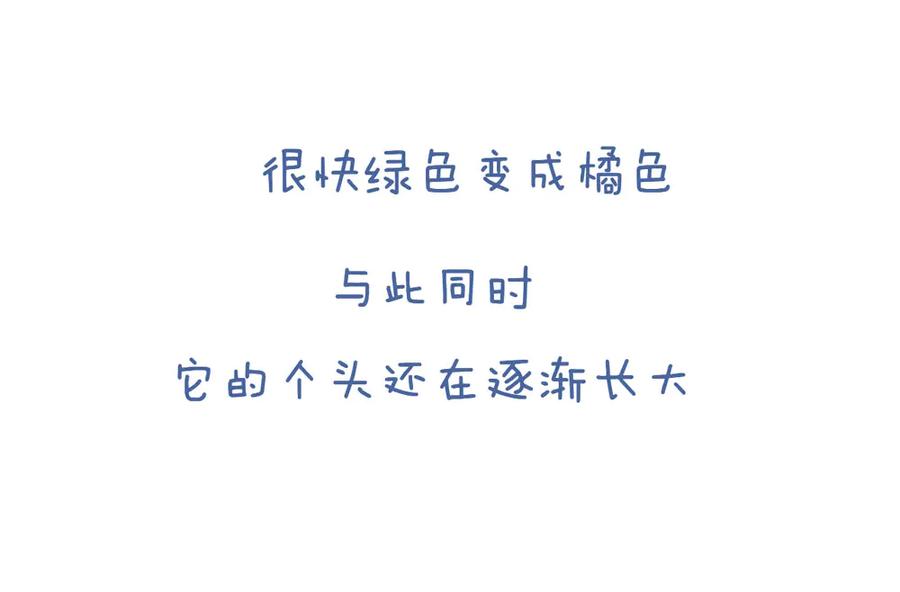 《未来总会有惊喜》07刺梅 第8页