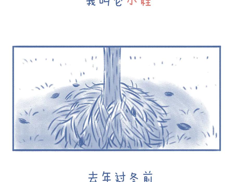 《未来总会有惊喜》08桂花树 第6页