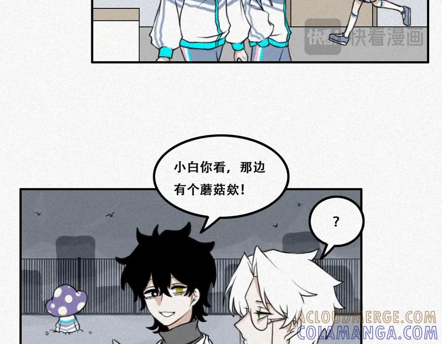 《未命名世界》蘑菇蘑菇？ 第13页