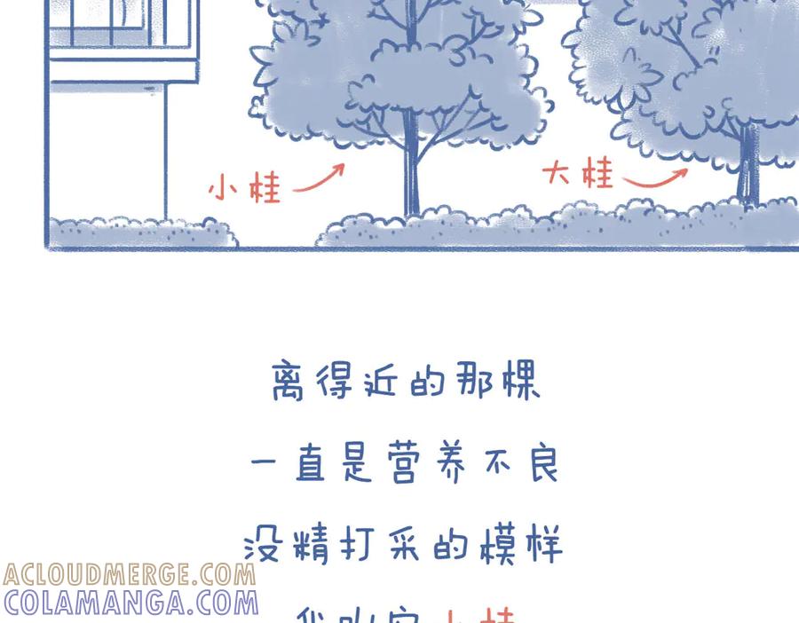 《未来总会有惊喜》08桂花树 第5页