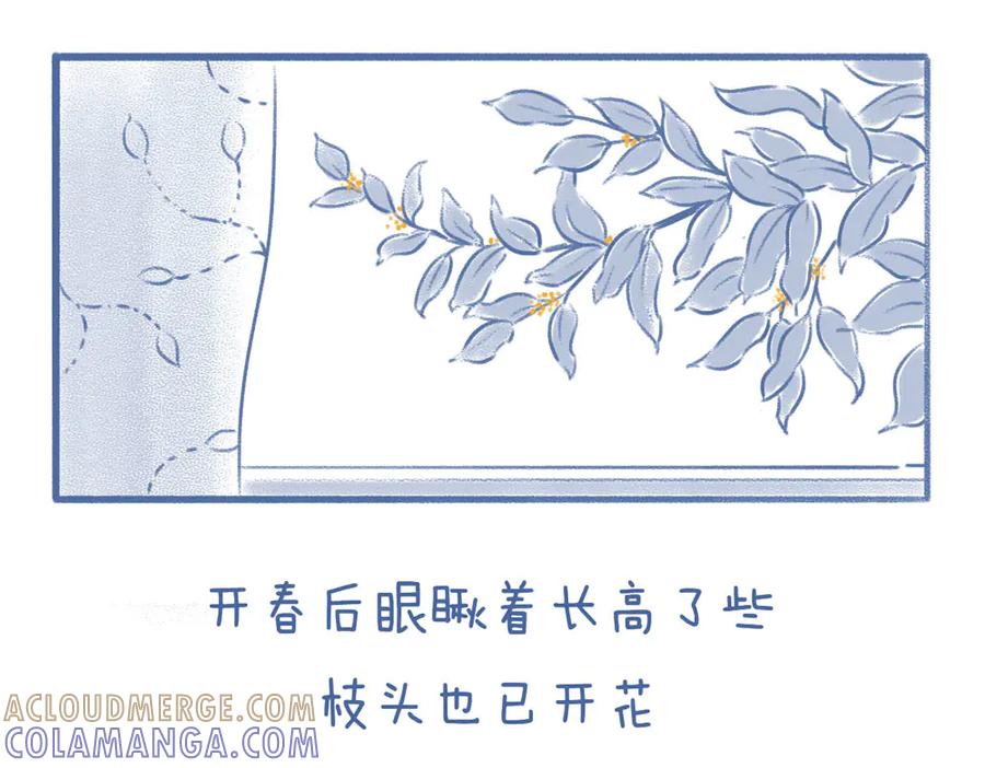 《未来总会有惊喜》08桂花树 第9页